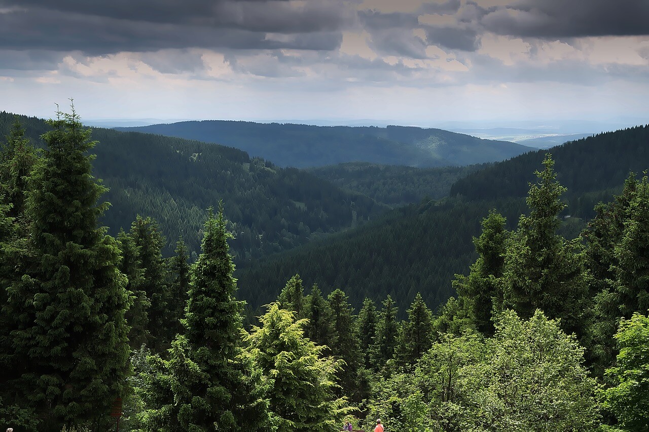 steuerberater-finden-thueringen
